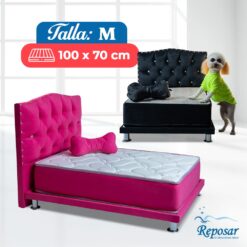 combo completo talla M Mypet Reposar