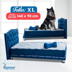 combo completo talla XL MyPet Reposar